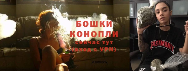 хмурый Вяземский
