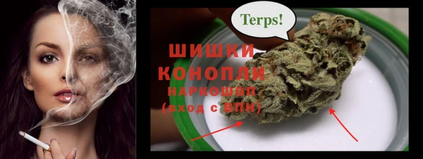 индика Наволоки