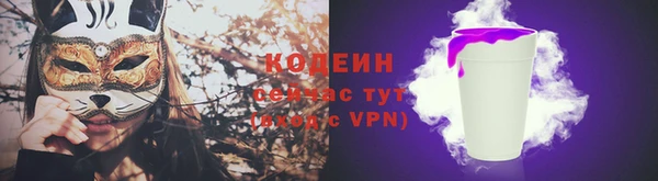 хмурый Вяземский
