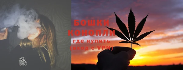 хмурый Вяземский
