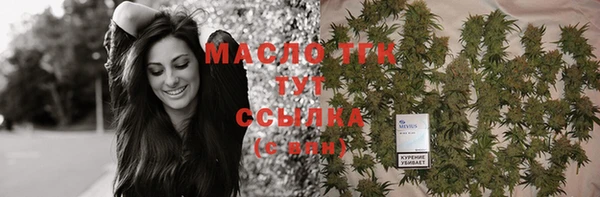хмурый Вяземский